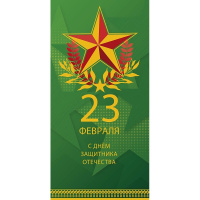 Конверт для денег "23 Февраля. С Днем Защитника отечества" 167х83мм 0320.073