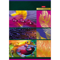 Тетрадь А4 96л клетка "Капельки" на скобе 3D фольга 3D лак матовая ламинация 96Т4лофлВ1/049717