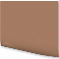 Бумага тонированная 50х70см 300г/м2 светло-коричневая 6175 Бумага тонированная 50х70см 300г/м2 светло-коричневая 6175