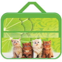 Папка д/труда А4 "Рыжие котики" 335*260*60 с ручками, ткань ПТР-111