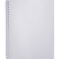 Тетрадь А5 96л клетка белый бумвинил металлик на спирали 96Т5бвВ1гр/059826