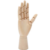 Рука высота 24,5см, правая, дерево MZ48029