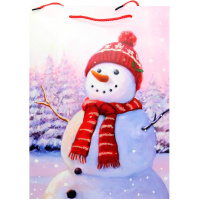 Пакет подарочный "Новый Год" 26х32х12см 4 вида 3184