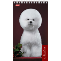 Блокнот А5 60л "Щенки" линия, на спирали, жесткая подложка, пластиковая обложка, 2 дизайна 050652