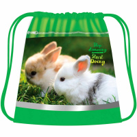 Сумка для сменной обуви "Пушистики" 42х34см 1 отделение с карманом СДС-71