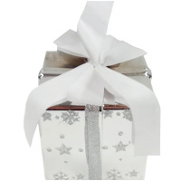 Ёлочное украшение "Подарок" 15*15см серебро, пластик Y311-12