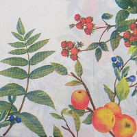 Набор салфеток для декупажа 33х33мм 20шт Фрукты Y6781-18