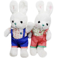 Заяц в одежде 23см 2 вида WT2554