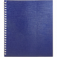 Тетрадь А5 48л клетка синий бумвинил металлик на спирали 48Т5бвВ1гр/063469