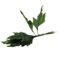 Листья декоративные 13х3см зеленые 10шт/уп. Y4892-17