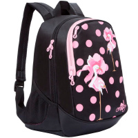 Рюкзак 29х40х20см, 496гр, 2 отделения, 3 кармана, черный "Фламинго" RD-843-11/1