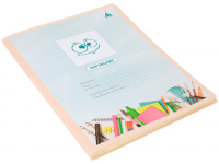 Папка-портфолио универсальное А4 "Gems" 40 файлов пластик 0,7мм с карманом, кремовый GEMPP40CREAM