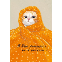 Открытка "В День рождения не в ресурсе..." средний формат 182х126мм 14.984.00