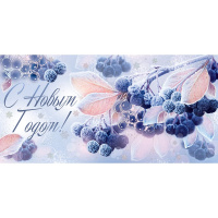 Конверт для денег "С Новым годом!" 168х84мм 78.535