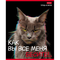 Тетрадь А5 48л клетка "Вы все меня бесите" на скобе 5 дизайнов 48Т5В1/075710
