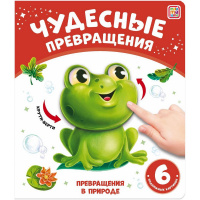 Книжка "Чудесные превращения. Превращения в природе" 12стр. 9785001349037