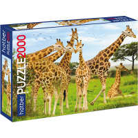 Пазлы 2000 эл. "Premium. Жирафы" 96х68см 2000ПЗ1_19321/059583
