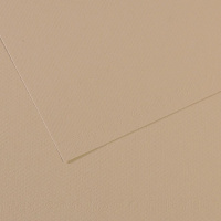 Бумага для пастели А4 160г/м2 серо-бежевая (хлопок 50%) №343 Mi-Teintes 31032S014