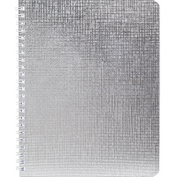 Тетрадь А5 48л клетка серебро бумвинил на спирали 48Т5бвВ1гр/059256