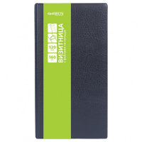 Визитница 160 визиток 13,5х25х3см на кольцах, пвх, синяя 2006-101 Визитница 160 визиток 13,5х25х3см на кольцах, пвх, синяя 2006-101