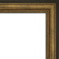Рамка 40х50см коричневая/темное золото 48мм