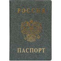 Обложка д/паспорта вертикальная 18,8х13,4см серая пвх 2203.В-106