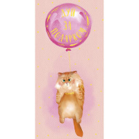 Конверт для денег "Дуй за подарком" 167х83мм 0319.236