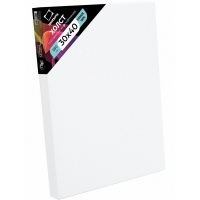 Холст на подрамнике 30х40см 380г/м2, 100% хлопок, среднее зерно 3D 343040