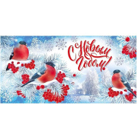 Конверт для денег "С Новым годом!" 168х84мм 37.454.00