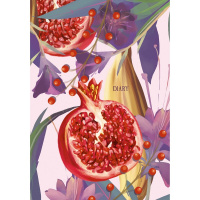 Ежедневник недатированный А5 "Сочный гранат" 256стр. 7БЦ, ламинация Soft Touch ЕЖ22512805