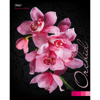 Тетрадь А5 48л клетка "Flower on black" на скобе 3D лак матовая ламинация 5 дизайнов 050135