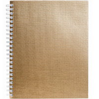 Тетрадь А5 48л клетка золото бумвинил металлик на спирали 48Т5бвВ1гр/059699