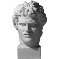 Голова галла 25,5х27х41см 10-174 Голова галла 25,5х27х41см 10-174