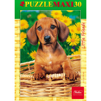 Пазлы 30 эл. "Щенок" 21х29см макси 30ПЗ4_04334/045573