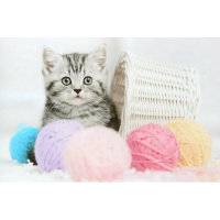 Алмазная мозаика 21х25см "Котенок и клубочки" частичная выкладка ZS2231