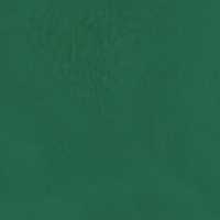 Бумага тонированная А4 300г/м2 зеленая еловая 1л 614/1058