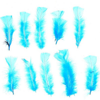 Набор перьев 100шт/уп., голубой Y7468-18