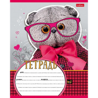Тетрадь А5 12л клетка "Кот Басик" на скобе 5 дизайнов 12Т5В1/068812