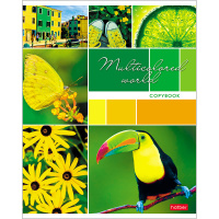 Тетрадь А5 96л клетка "Разноцветный мир" на скобе 96Т5В1/057372