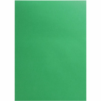 Картон А4 250г/м2 глянец, зеленый, 1 лист