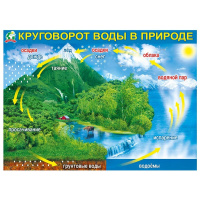 Плакат "Круговорот воды в природе" 440х600мм 071.221