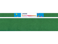 Бумага крепированная 50х250см, 32 г/м2 зеленая 8040721