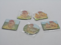 Магнит акриловый Петух 6см 6 видов Y3666-16