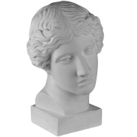 Голова Амазонки 22х25х38см 10-113