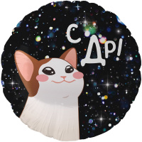 Шар воздушный 46см(18") Круг "С Днем Рождения! Котик" фольга 13489
