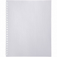 Тетрадь А5 48л клетка белый бумвинил металлик на спирали 48Т5бвВ1гр/066854