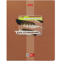 Тетрадь А5 48л линия Для сочинений "Яркая цветная" на скобе выборочный лак 084553