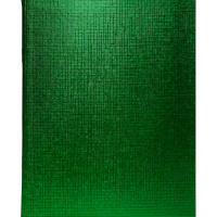 Тетрадь А5 48л клетка зеленый бумвинил металлик на скобе 48Т5бвВ1/061253