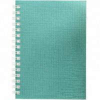 Записная книжка А6 80л клетка на спирали, бумвинил металлик мята 80ЗК6бвВ1гр