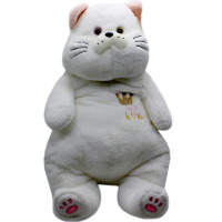 Кот 55см белый ZB2543